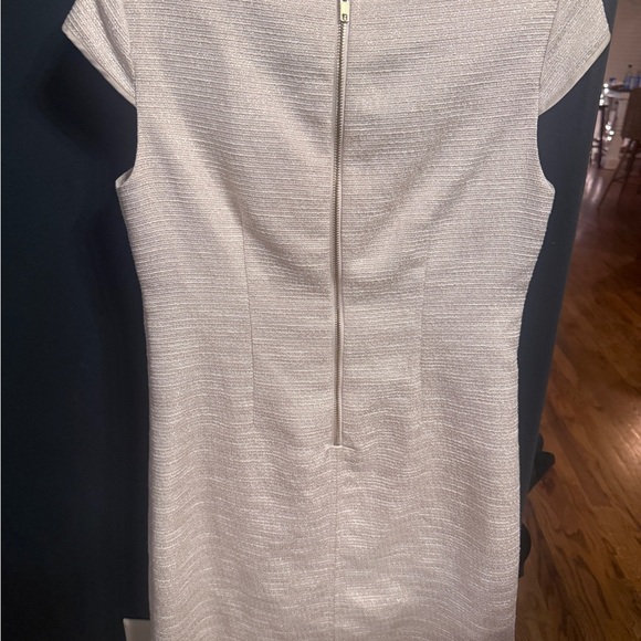 Adrianna Papell Cream Dress with Gold Beading - Picture 4 of 4